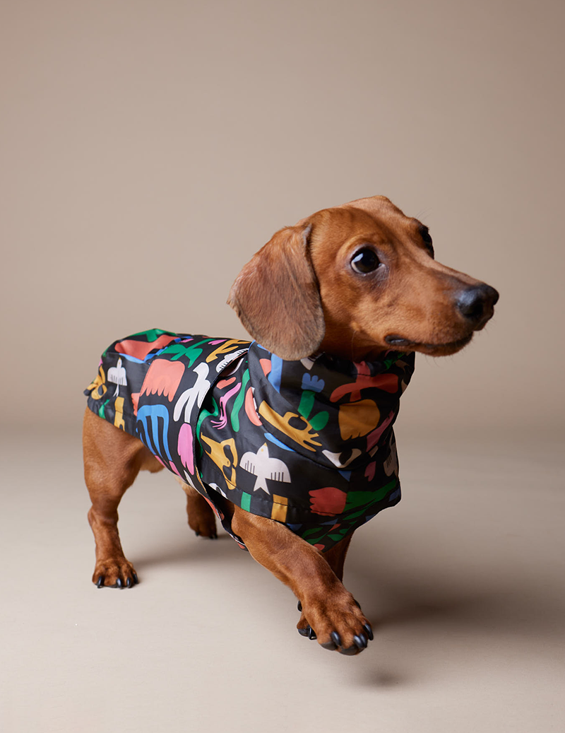 Iris Dog RainCoat (Small)