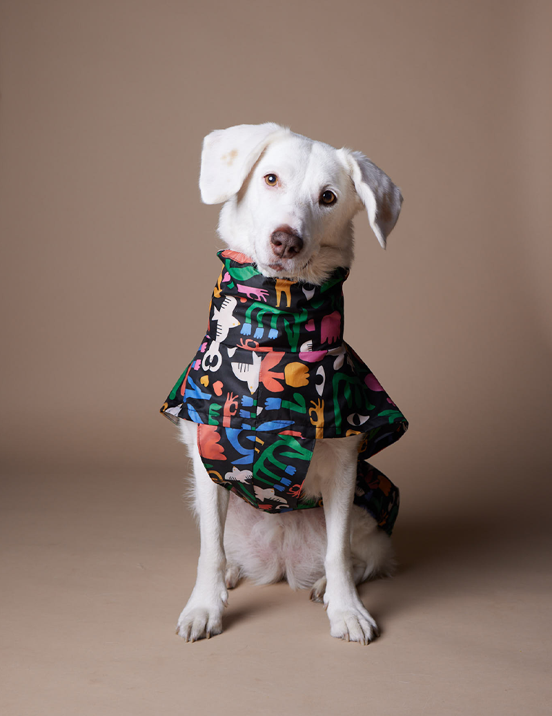 Iris Dog RainCoat (Medium)